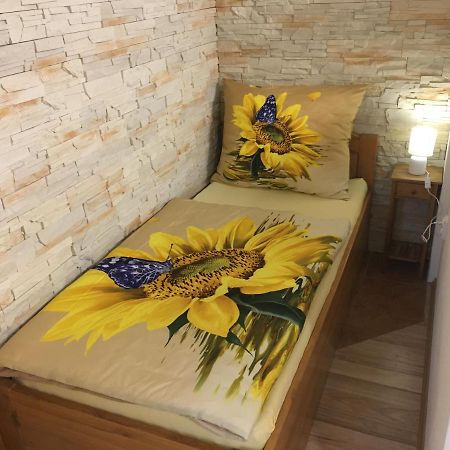 Apartman Slunecnice S Terasou チェスケー・ブジェヨヴィツェ エクステリア 写真