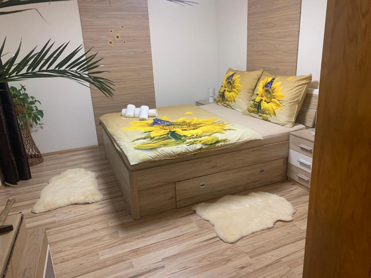 Apartman Slunecnice S Terasou チェスケー・ブジェヨヴィツェ エクステリア 写真