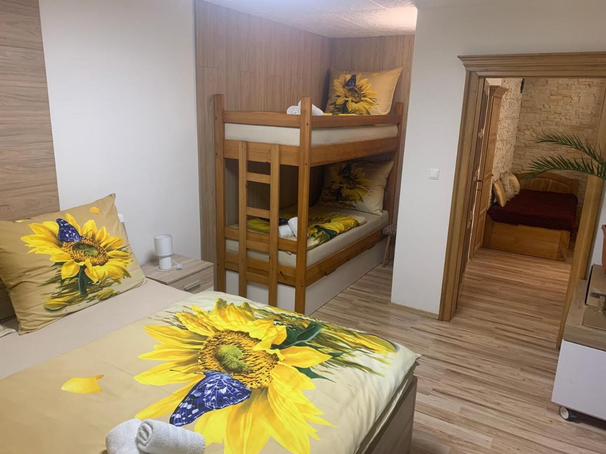 Apartman Slunecnice S Terasou チェスケー・ブジェヨヴィツェ エクステリア 写真