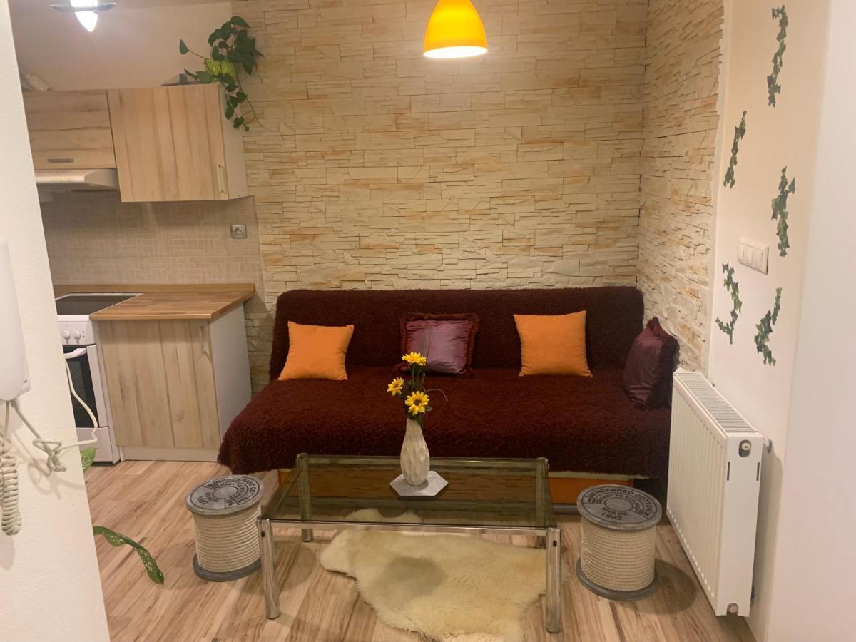 Apartman Slunecnice S Terasou チェスケー・ブジェヨヴィツェ エクステリア 写真