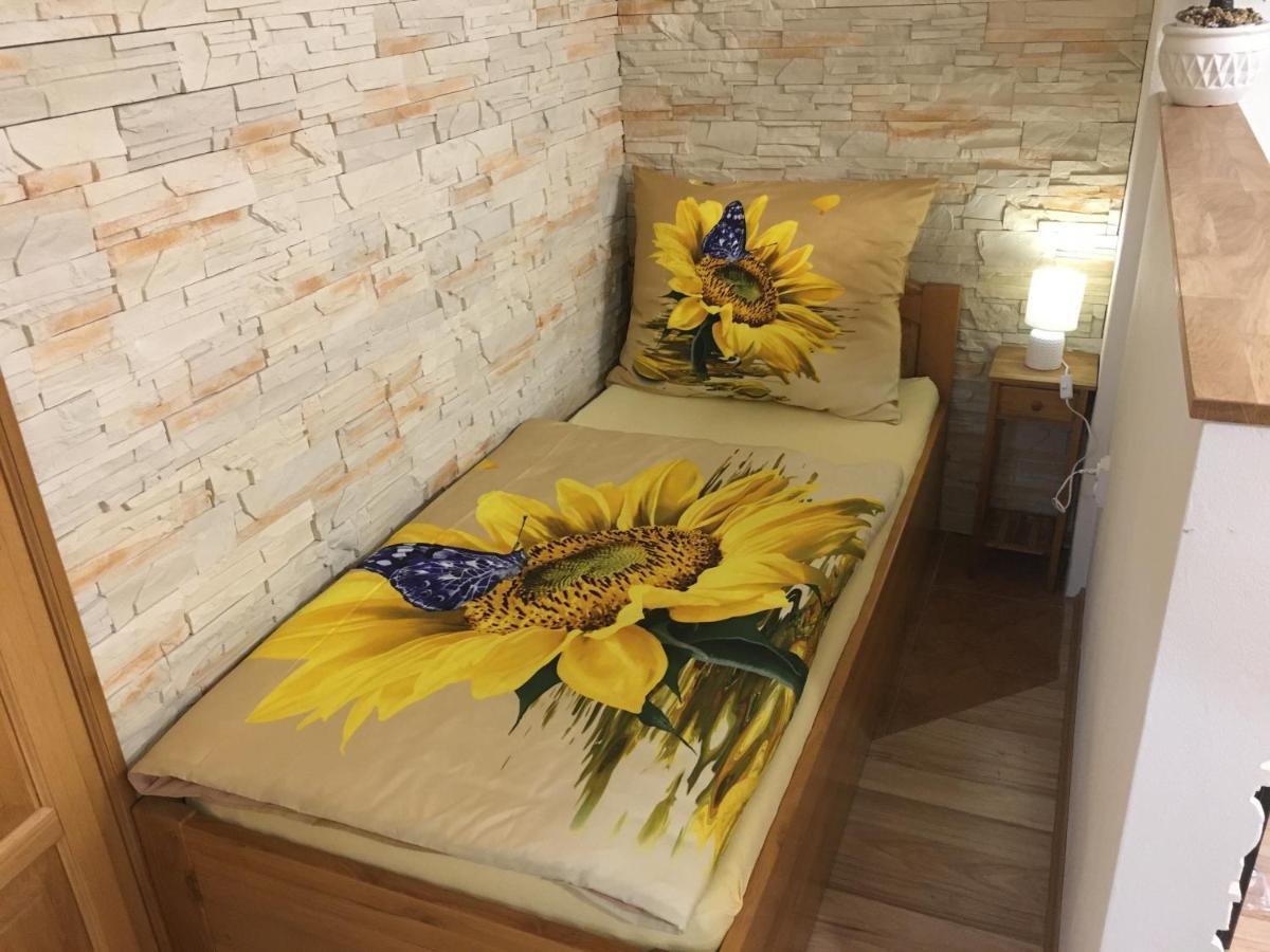 Apartman Slunecnice S Terasou チェスケー・ブジェヨヴィツェ エクステリア 写真