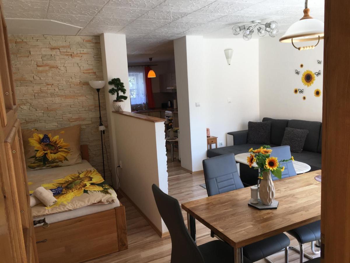 Apartman Slunecnice S Terasou チェスケー・ブジェヨヴィツェ エクステリア 写真